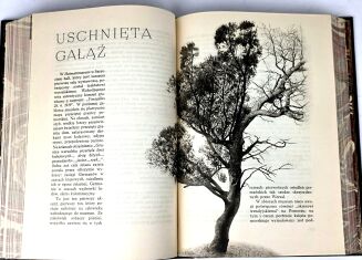 KISIELEWSKI- ZIEMIA GROMADZI PROCHY wyd.1, 1939 - 15