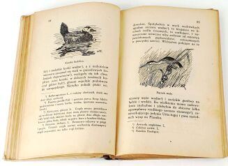 KORSAK - KU INDYJSKIEJ RUBIEŻY łowiectwo - 5