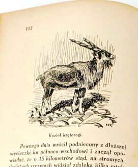 KORSAK - KU INDYJSKIEJ RUBIEŻY łowiectwo - 6