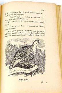 KORSAK - KU INDYJSKIEJ RUBIEŻY łowiectwo - 7