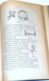 GRAFF- HODOWLA ZWIERZĄT  t.1 wyd. 1886 hodowla koni, ryciny - 6