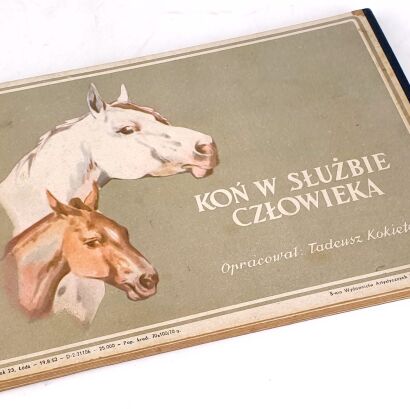 KOKIETEK - KOŃ W SŁUŻBIE CZŁOWIEKA 1952