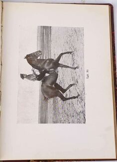BREZA- O SZTUCE KONNEJ JAZDY wyd. 1926 - 6