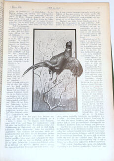 WILD UND HUND. Illustrierte Jagdzeitung 8. Jahrgang. 1902 - 3