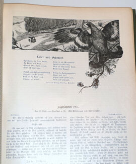 WILD UND HUND. Illustrierte Jagdzeitung 8. Jahrgang. 1902 - 7