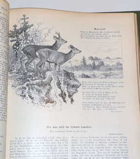 WILD UND HUND. Illustrierte Jagdzeitung 8. Jahrgang. 1902 - 8