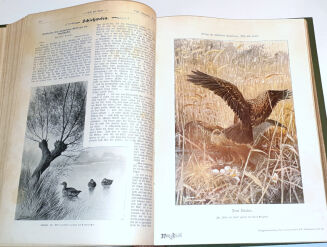 WILD UND HUND. Illustrierte Jagdzeitung 8. Jahrgang. 1902 - 10