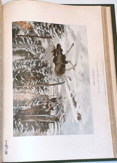 WILD UND HUND. Illustrierte Jagdzeitung 8. Jahrgang. 1902 - 11