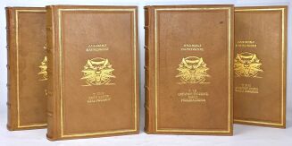 SAPKOWSKI Wiedźmin 1-10 SAGA O WIEDŹMINIE OPOWIADANIA - 13