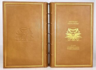 SAPKOWSKI Wiedźmin 1-10 SAGA O WIEDŹMINIE OPOWIADANIA - 12