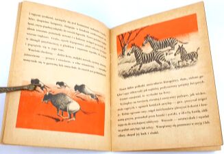 OSSENDOWSKI - GRZMOT il. Tadeusza Lipskiego - 4