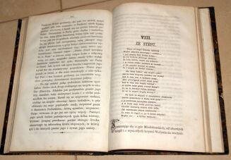 WINCENTY POL- PÓŁNOCNY WSCHÓD EUROPY Tom I-II [komplet] wyd. 1869r. DRZEWORYTY - 8
