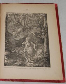 KRASNOHORSKA - POWIASTKA O WIETRZE 1884r. ryciny - 4