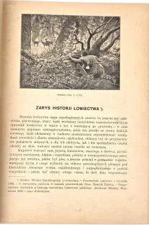 KRAWCZYŃSKI- ŁOWIECTWO Przewodnik dla leśników zawodowych i amatorów myśliwych 1924, oprawa luksusowa skóra - 6
