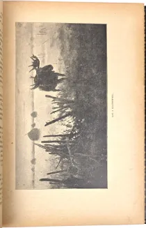 KRAWCZYŃSKI- ŁOWIECTWO Przewodnik dla leśników zawodowych i amatorów myśliwych 1924, oprawa luksusowa skóra - 8