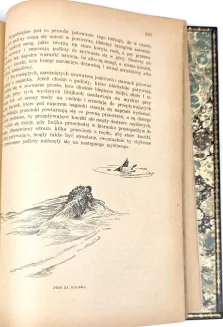 KRAWCZYŃSKI- ŁOWIECTWO Przewodnik dla leśników zawodowych i amatorów myśliwych 1924, oprawa luksusowa skóra - 13