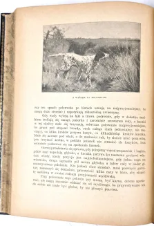 KRAWCZYŃSKI- ŁOWIECTWO Przewodnik dla leśników zawodowych i amatorów myśliwych 1924, oprawa luksusowa skóra - 14