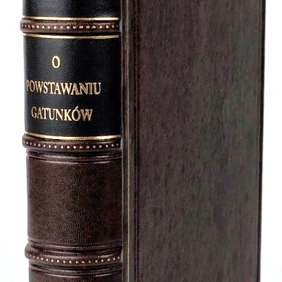 DARWIN- O POWSTAWANIU GATUNKÓW wyd. 1884r.