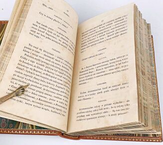 KRASIŃSKI- IRYDION Paryż 1836 - 10