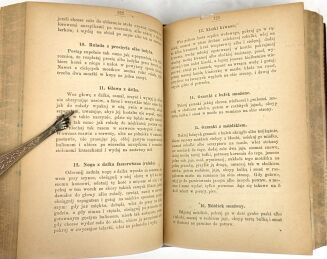 SCHMIDT - KUCHNIA POLSKA wyd. 1893, egzemplarz Bronisławy Albinowskiej - 9
