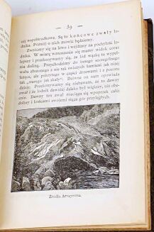 TYNDALL- WODA wyd. 1874 drzeworyty - 4