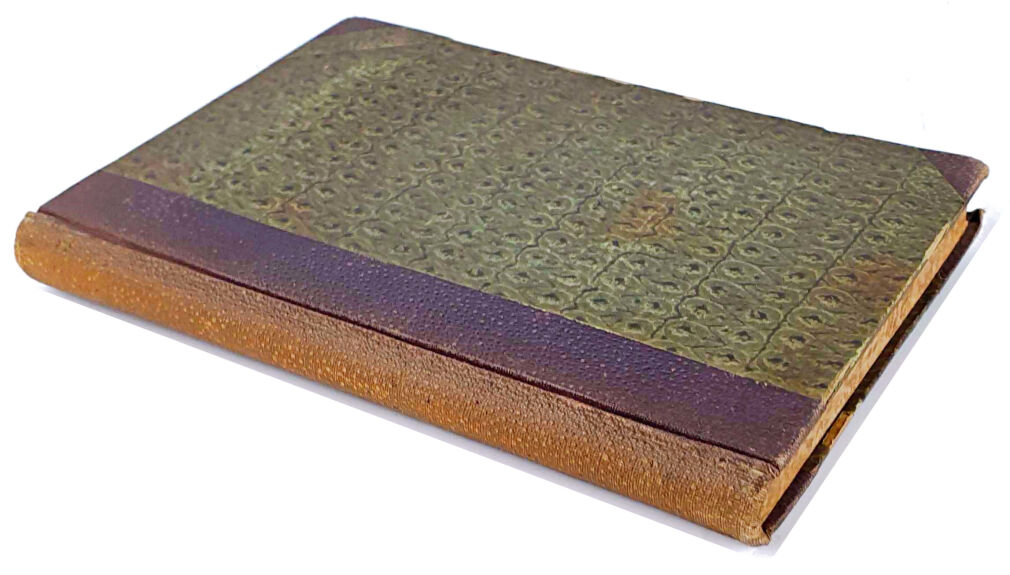 TYNDALL- WODA wyd. 1874 drzeworyty