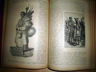 SCHWEIGER-LERCHENTDAL- GEOGRAFIA POWSZECHNA ILLUSTROWANA wyd. 1895r. 500 ILUSTRACJI. SUPER EXLIBRIS. PIĘKNA OPRAWA - 8