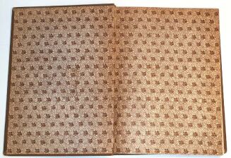 KOPERA- MUZEUM WIELKOPOLSKIE W POZNANIU - 2