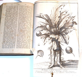 DYKCYONARZ BIBLIJNY z ksiąg Pisma Świętego t.1-4 [komplet w 2 wol.] wyd. 1844-5r. - 6