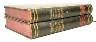 SZOKALSKI - FANTAZYJNE OBJAWY ZMYSŁOWE t.1-2 [komplet w 2 wol.], wyd. 1861-1863 - 3