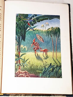 MIRANDOLA- ROBINSON KRUZO - 3