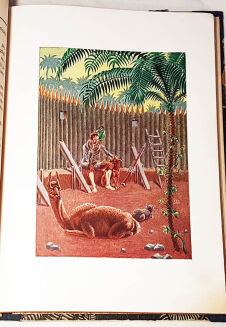 MIRANDOLA- ROBINSON KRUZO - 4