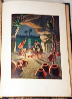 MIRANDOLA- ROBINSON KRUZO - 6