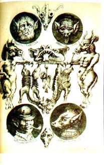 ORWELL- FOLWARK ZWIERZĘCY ilustr. Lebenstein - 6