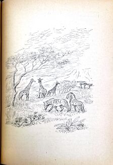 HUGO- NĘDZNICY. T.1-2 (komplet w 2 wol.)  ilustracje Antoni Uniechowski - 16