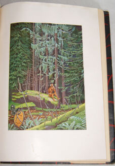 CERVANTES- DON KISZOT  Z LA MANCZY Obwoluta - 7