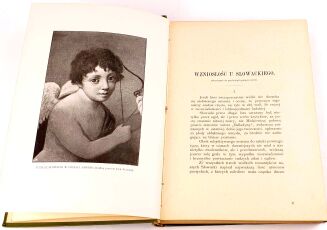 SŁOWACKI- DZIEŁA  t.1-6 wydanie ilustrowane wyd. 1909, piękny egzemplarz - 5