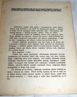DUNINÓWNA- NA SKRAJU LASU wyd.1926 - 3