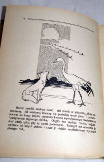 DUNINÓWNA- NA SKRAJU LASU wyd.1926 - 5