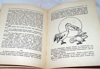 DUNINÓWNA- NA SKRAJU LASU wyd.1926 - 6