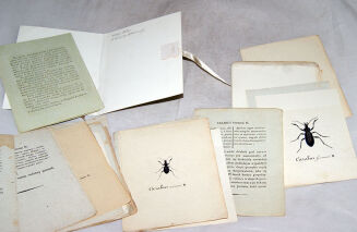 STRONCZYŃSKI- ROZRYWKI ENTOMOLOGICZNE wyd. 1835 kolorowane tablice - 4