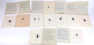 STRONCZYŃSKI- ROZRYWKI ENTOMOLOGICZNE wyd. 1835 kolorowane tablice - 8