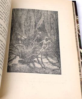 VERNE - NAJPOPULARNIEJSZE DZIEŁA kolekcja 14 wol. - 19