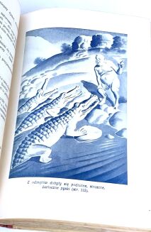 MAKUSZYŃSKI - PRZYJACIEL WESOŁEGO DJABŁA ilustr. wyd.1 1930 - 7