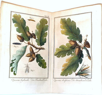 LAUROP, FISCHER - SYLVAN EIN JAHRBUCH FÜR FORSTMÄNNER,JÄGER UND JAGDFREUNDE FÜR DAS JAHR 1816 - 3