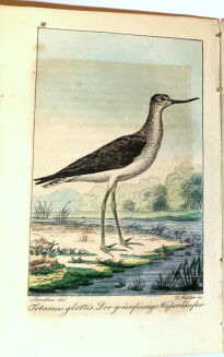 LAUROP, FISCHER - SYLVAN EIN JAHRBUCH FÜR FORSTMÄNNER,JÄGER UND JAGDFREUNDE FÜR DAS JAHR 1816 - 4