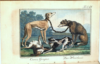 LAUROP, FISCHER - SYLVAN EIN JAHRBUCH FÜR FORSTMÄNNER,JÄGER UND JAGDFREUNDE FÜR DAS JAHR 1816 - 5