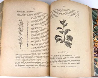 JANKOWSKI - SAD I OGRÓD OWOCOWY 1893r., tablice i drzeworyty - 7