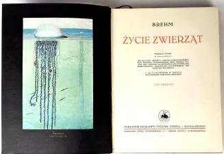 BREHM- ŻYCIE ZWIERZĄT T.I-II [komplet] OPRAWA WYDAWNICZA Barwne tablice, ryciny - 5