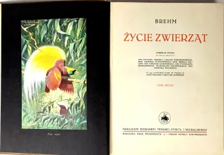BREHM- ŻYCIE ZWIERZĄT T.I-II [komplet] OPRAWA WYDAWNICZA Barwne tablice, ryciny - 13